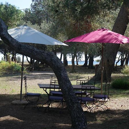 Villa Joli Mas au bord de l'étang de Thau Marseillan  Esterno foto