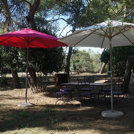 Villa Joli Mas au bord de l'étang de Thau Marseillan  Esterno foto