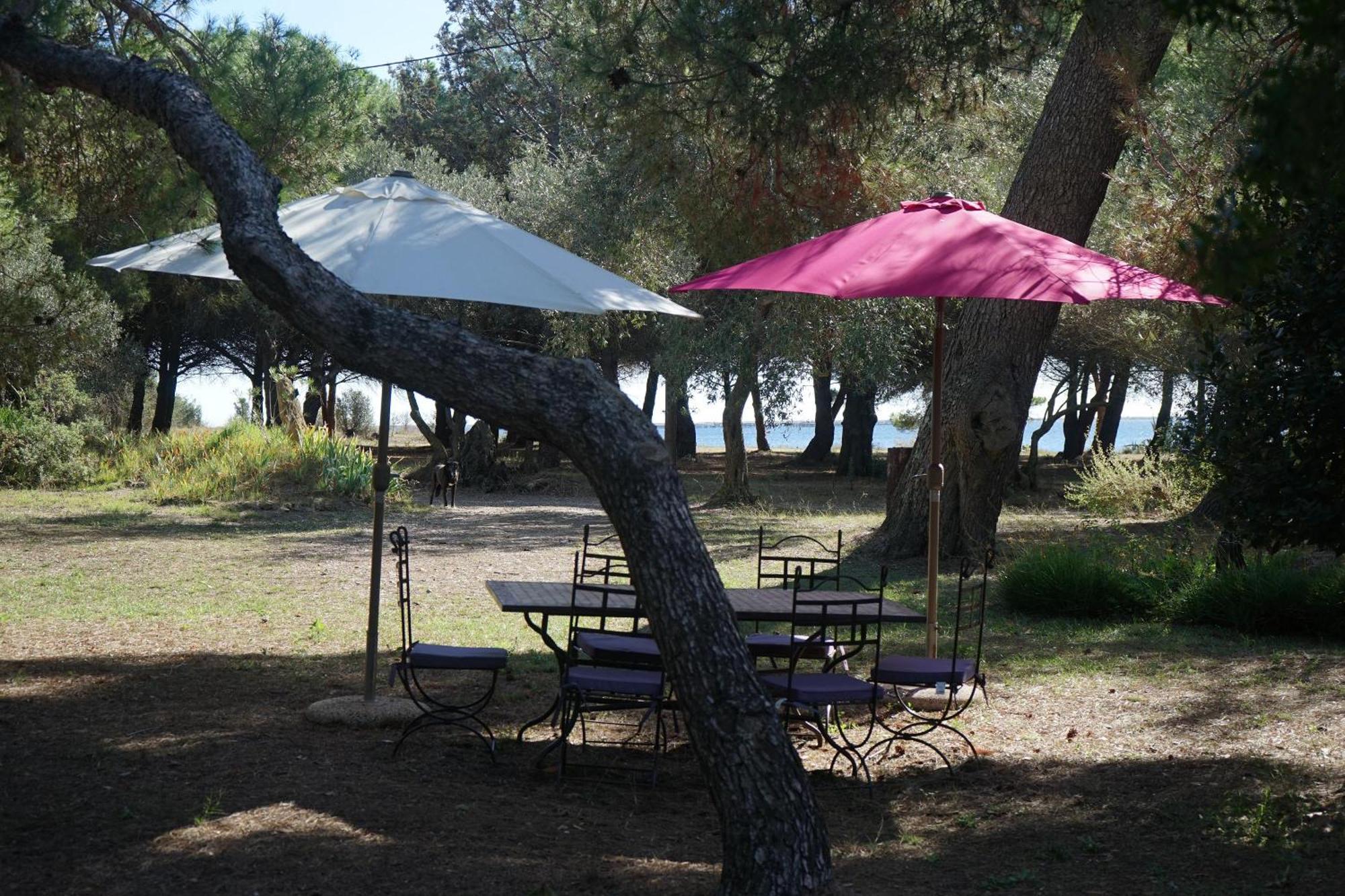 Villa Joli Mas au bord de l'étang de Thau Marseillan  Esterno foto