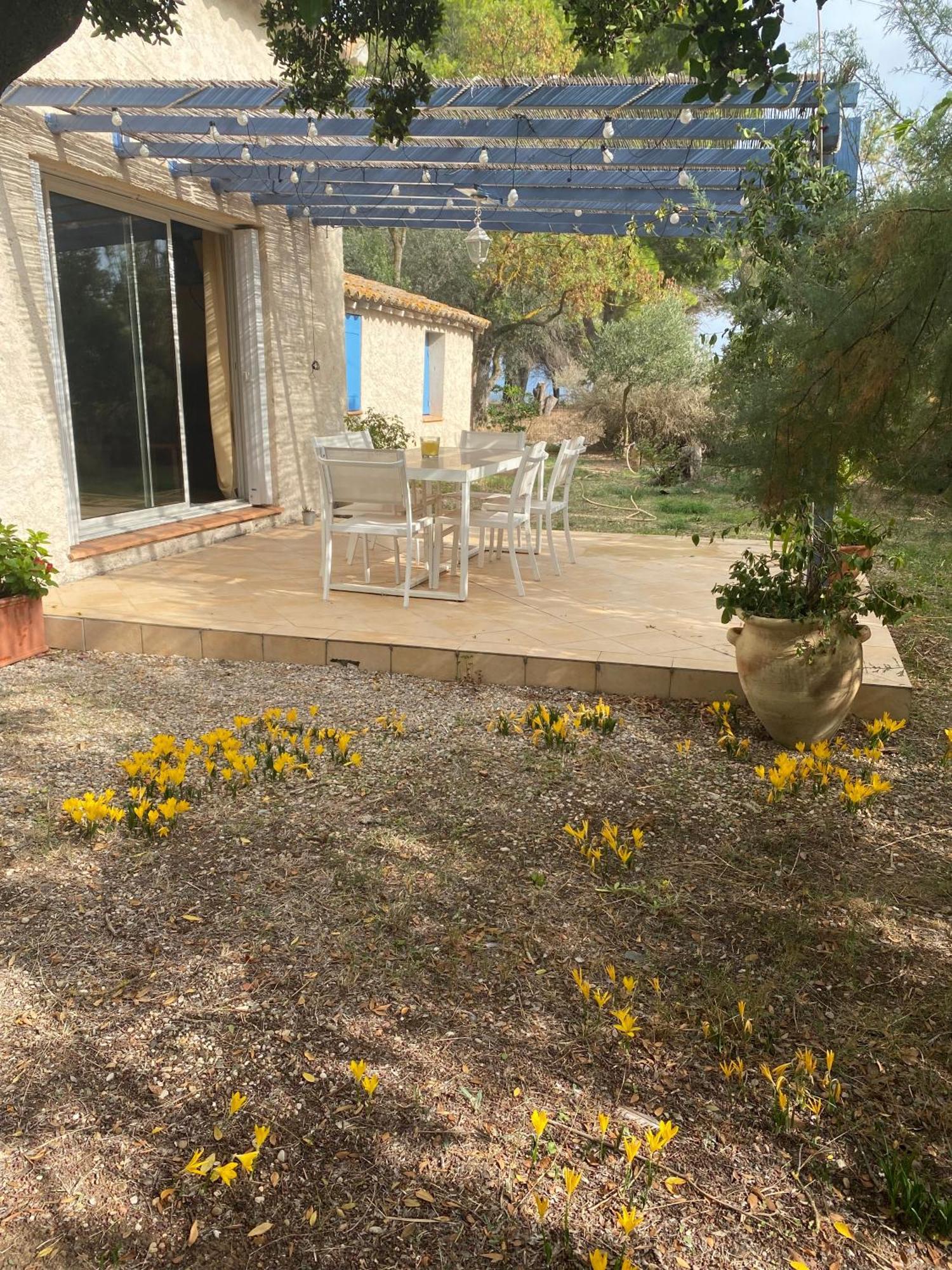Villa Joli Mas au bord de l'étang de Thau Marseillan  Esterno foto